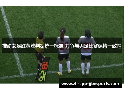 推动女足红黄牌判罚统一标准 力争与男足比赛保持一致性